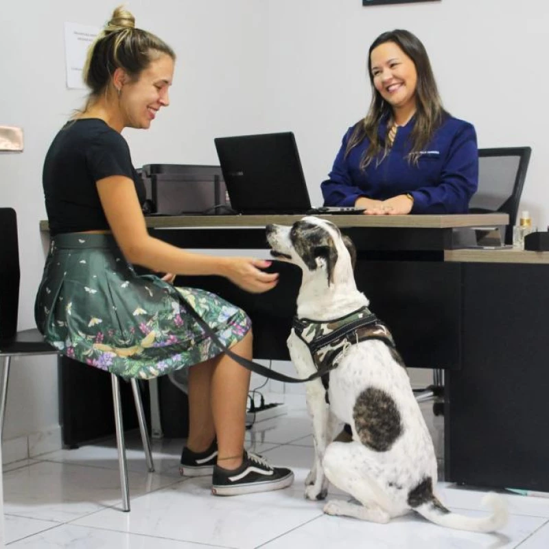 Endoscopia Veterinária