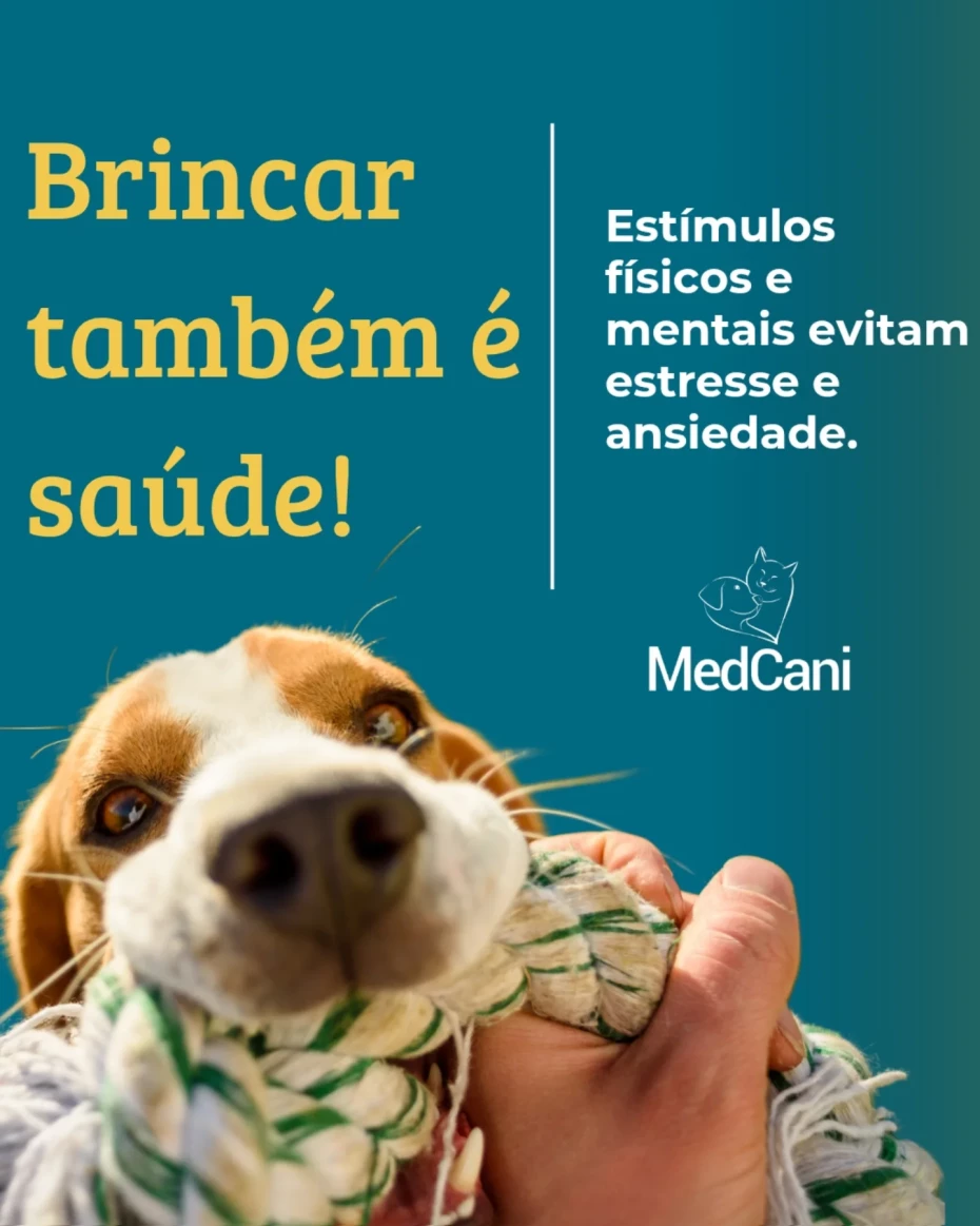 Foto 12:  — MedCani Clinica Veterinária
