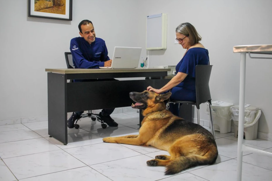 Foto 4:  — MedCani Clinica Veterinária